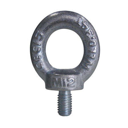 Dịch vụ một cửa STAINLESS STEEL EYE BOLT DIN580